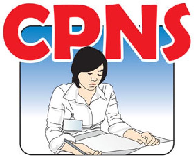 BKD Rohil akan Umumkan Hasil Tes Kelulusan CPNS 2014