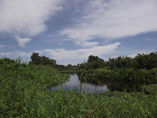 Bupati Rohil Tinjau Lokasi Wisata Danau Janda Air Gatal