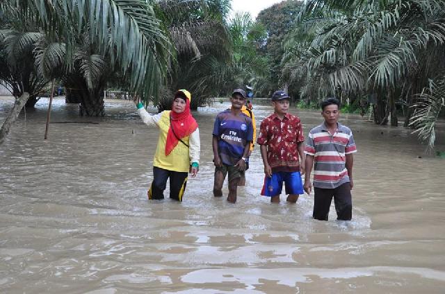 Banjir Inhu Terus Meluas