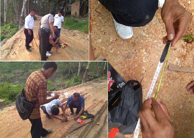 2017 Pengerasan 2,276 KM Jalan Dusun II Kelesa Tuntas, Petani Terbantu Keluarkan Hasil Kebun