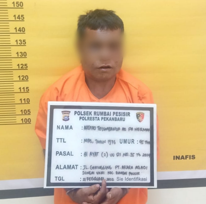 Ayah Bejad di Pekanbaru Tega Hamili Anak Kandung hingga 3 Kali Melahirkan