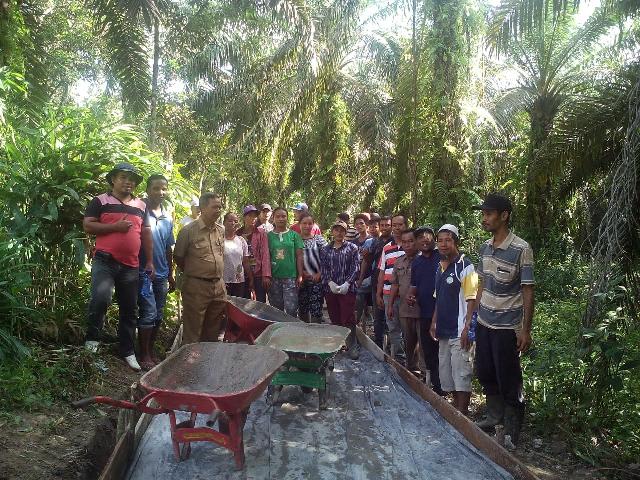 Program Nasional Padat Karya Desa Jatirejo Berdayakan Tenaga Kerja Lokal