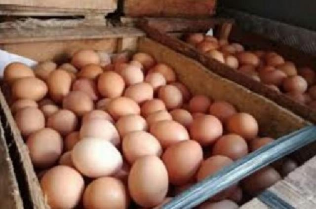 Tidak Hanya Cabai, Harga Telur Ikut Melambung Jelang Natura di Pekanbaru