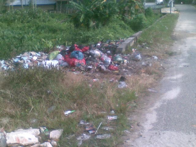  Sampah Berserakan di Jalan Pepaya Ujung