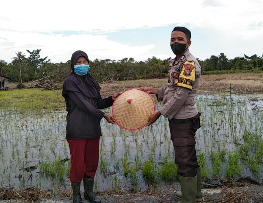 Sembari Beri Bantuan Topi Petani, Brigadir Khairi Bantu Menanam Padi di Desa Sendaur