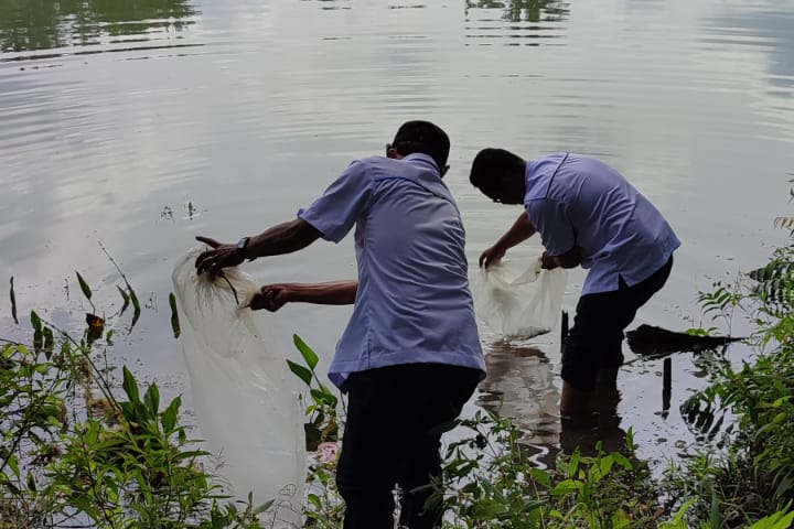 Satu Juta Bibit Ikan ditebar di Riau