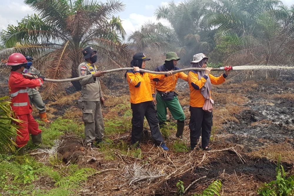 Masih Ada 3 Titik Kebakaran, Tim Gabungan Lakukan Pemadaman di Rohil