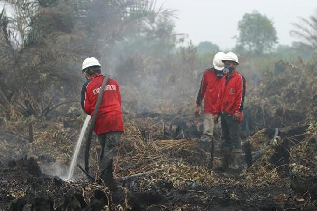Diikuti 23 Lokasi di Sumatera, PT RAPP Gelar Wild Fire Competition 4