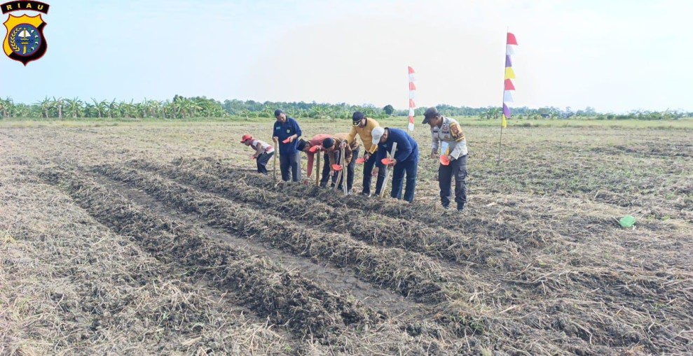 Kembali Tanam Jagung di Wilayah Perbatasan, Polsek Rangsang Pesisir Perkuat Ketahanan Pangan Nasional