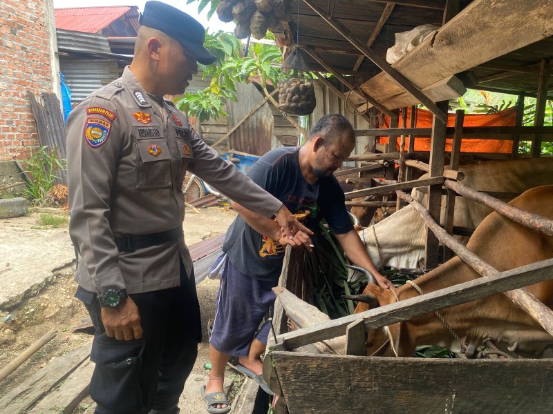 Dukung Asta Cita, Polsek Kempas Monitoring Program Ketahanan Pangan Ternak Sapi di Desa Sungai Ara