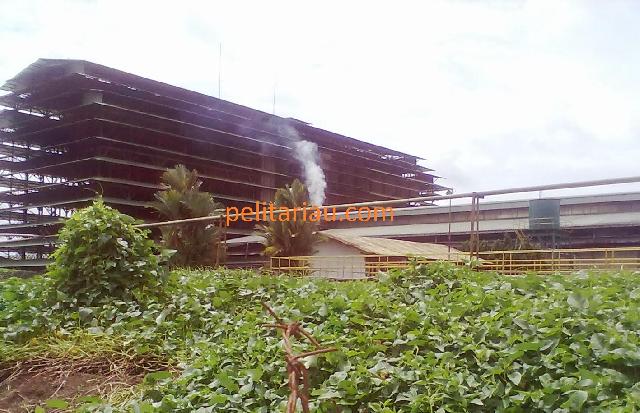  DPRD Inhu Ancam Tutup Pabrik Karet PT TSS Rengat