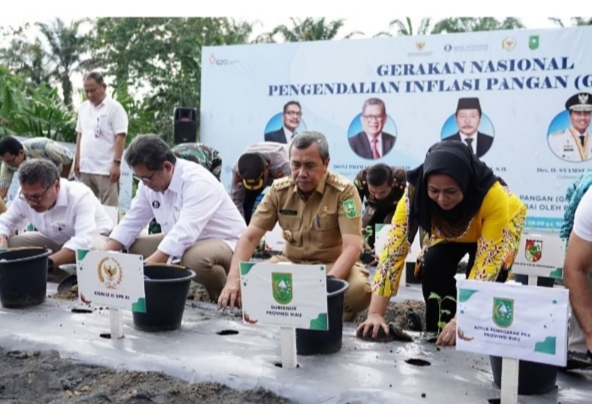 Tekan Inflasi, GNPIP Riau Melalui Program Budidaya Cabai Oleh BUMDes Resmi Dilaunching