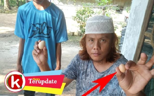 Telur Ayam Kampung Mini Hebohkan Warga di Menggala Lampung