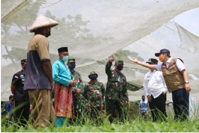 Gubernur Riau Apresiasi Ketahanan Pangan Lanud Rsn