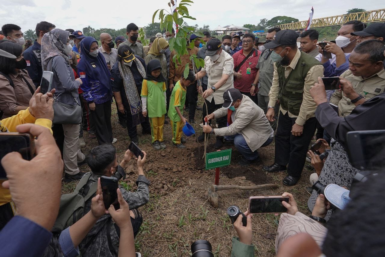 Gubri dan Menteri LHK Tanam Pohon di Tepian DAS Indragiri