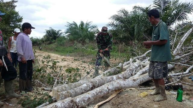 Serda Pirman Bantu Warga Desa Pulau Jambu Memotong Kayu yang Tumbang di Tengah Jalan