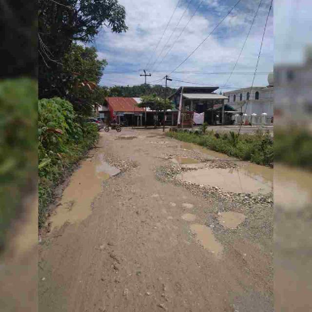 Warga Jalan Kabupaten Lintas Selatan Batu Gajah - Bandar Padang Minta Cakada Inhu Turun Gunung