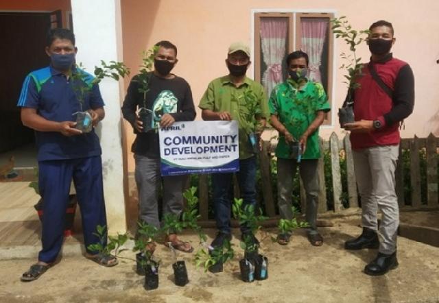 Menuju Sentra Jeruk Nipis, RAPP Bantu Ribuan Bibit Petani Dua Desa di Kuansing