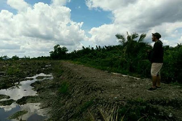 Tanggul Penyelamat Kebun Kelapa Warga Desa Makmur Jaya