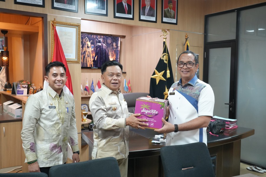 Audiensi Bupati Asmar Berbuah Komitmen BNPP RI Kawal Pembangunan Kawasan Perbatasan Meranti