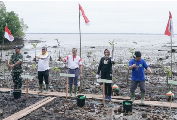 Gubernur Riau Lakukan Pencanangan 200 Ribu Bibit Mangrove di Bengkalis
