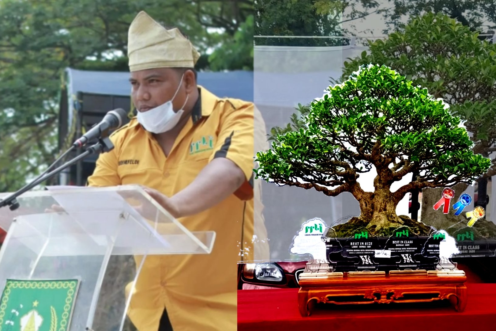 Pohon Beringin Berumur 15 Tahun Tinggi 52 cm Singkirkan 547 Pohon di Kontes Bonsai se-Riau