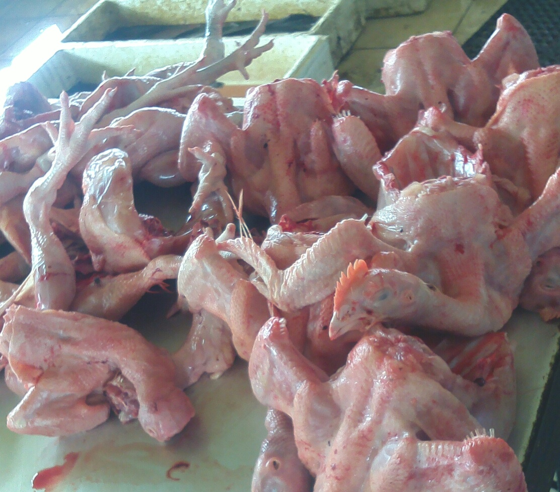 Harga Ayam Potong Mahal, Pedagang Mengeluh Omset Menurun 